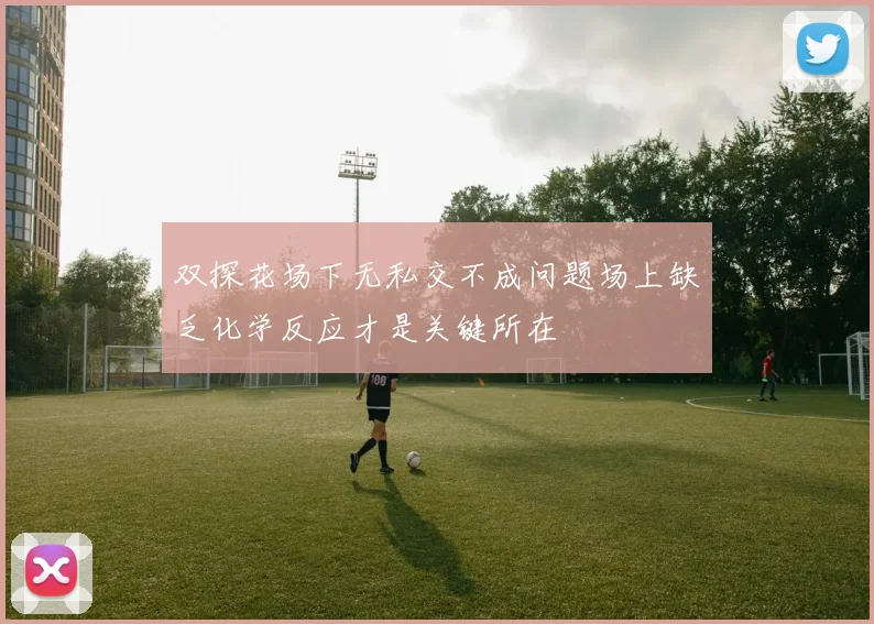 双探花场下无私交不成问题场上缺乏化学反应才是关键所在