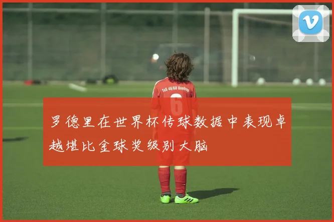 罗德里在世界杯传球数据中表现卓越堪比金球奖级别大脑